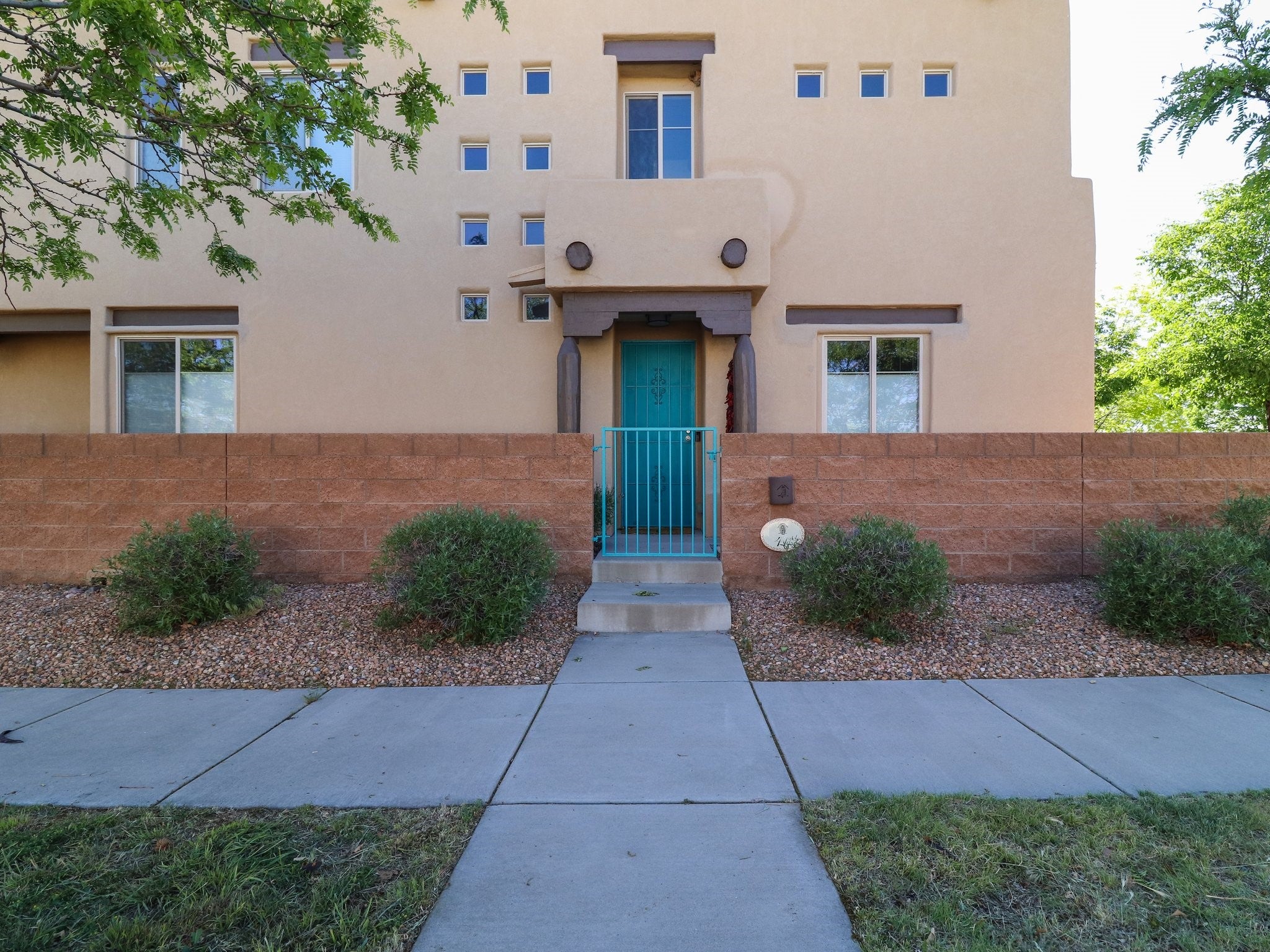 Main entry door of the house