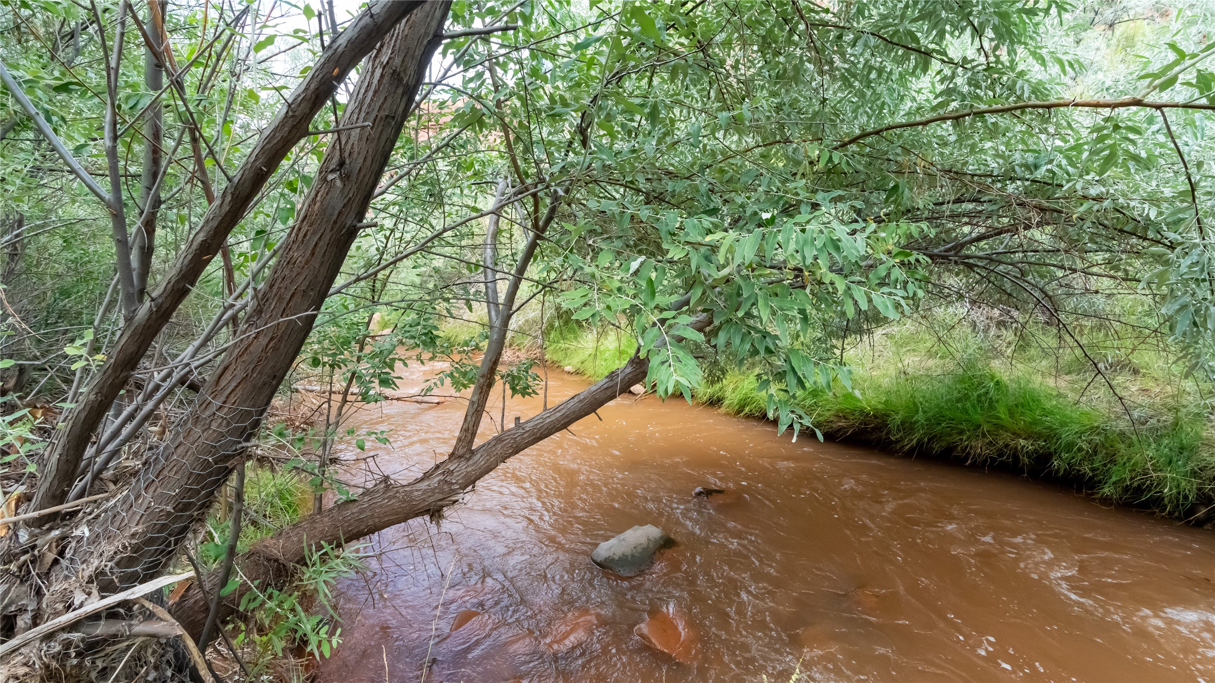 019 Redwood Grove Rd, Jemez Pueblo, New Mexico image 31