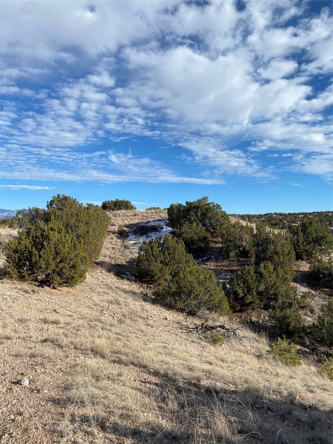 4.98 Acres Near Old Buckman, Santa Fe, New Mexico image 19