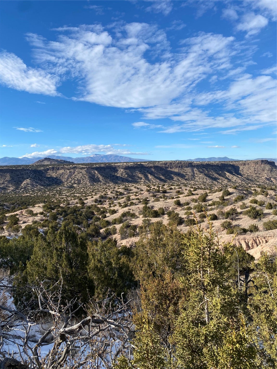 4.98 Acres Near Old Buckman, Santa Fe, New Mexico image 12