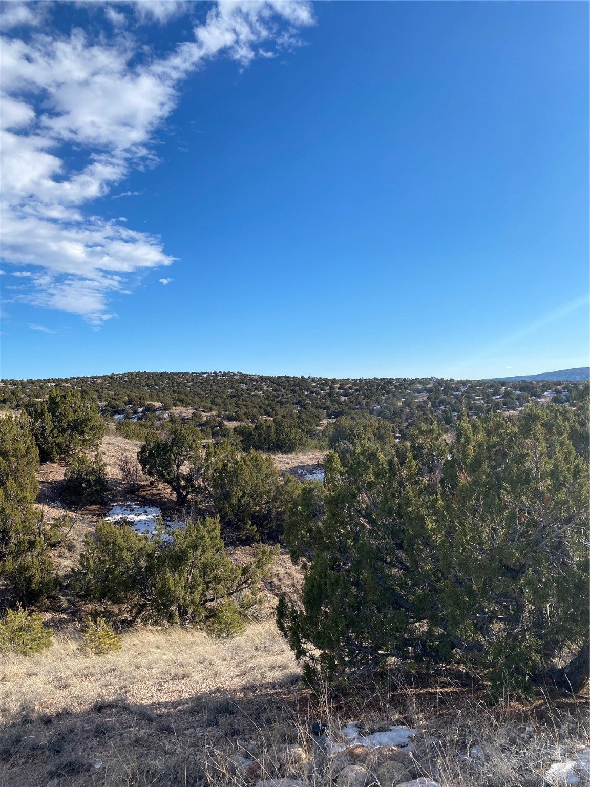 4.98 Acres Near Old Buckman, Santa Fe, New Mexico image 16