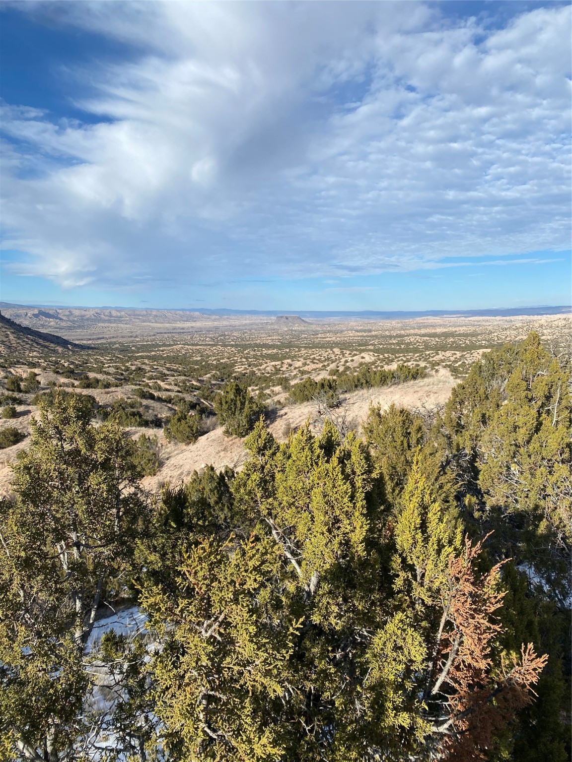 4.98 Acres Near Old Buckman, Santa Fe, New Mexico image 6