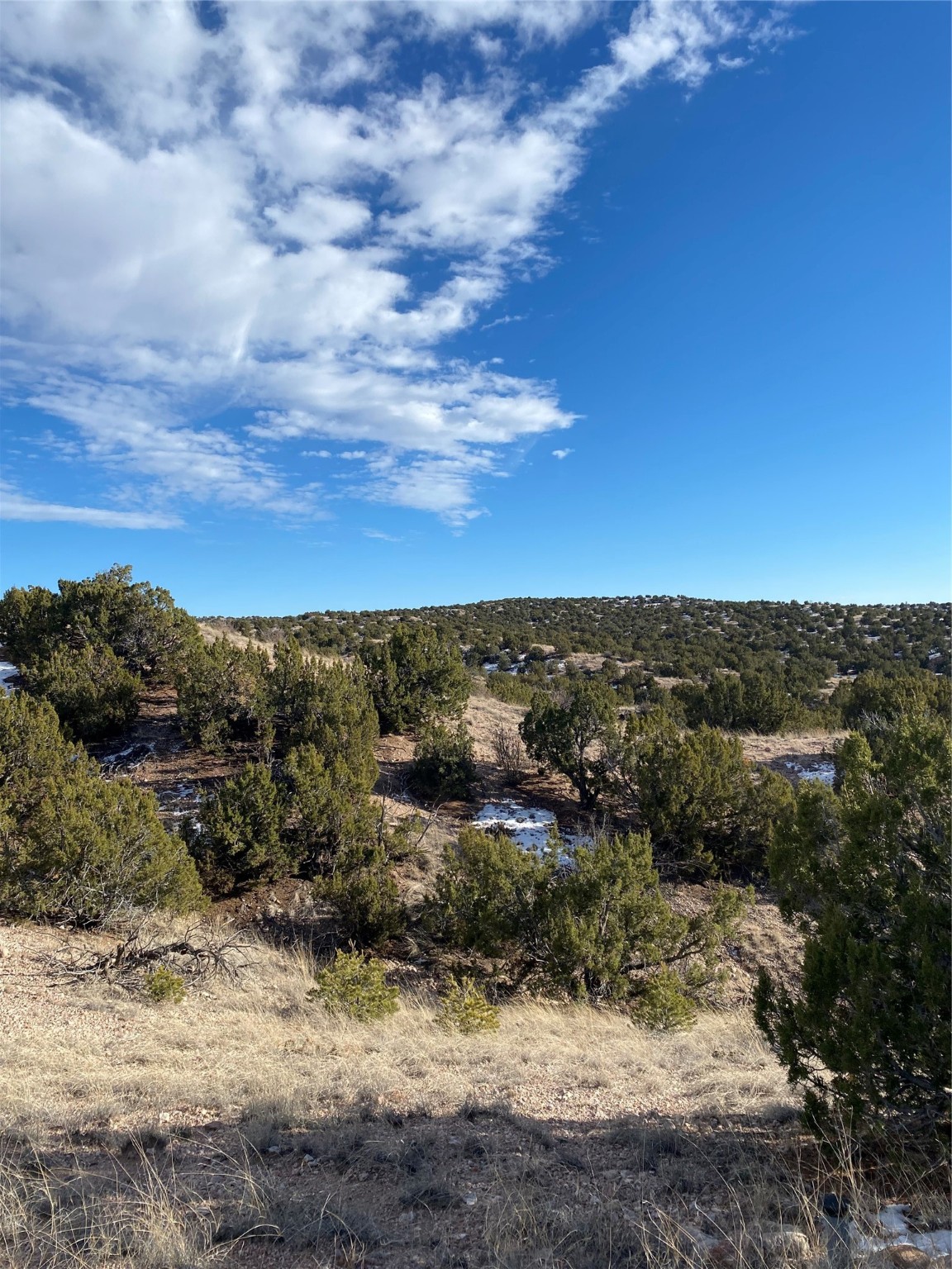 4.98 Acres Near Old Buckman, Santa Fe, New Mexico image 17