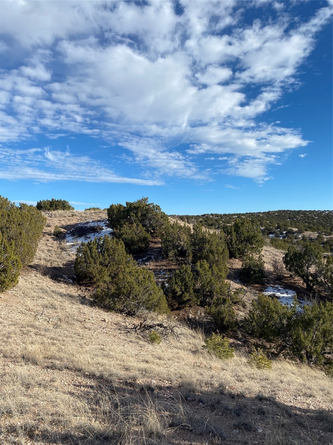 4.98 Acres Near Old Buckman, Santa Fe, New Mexico image 18