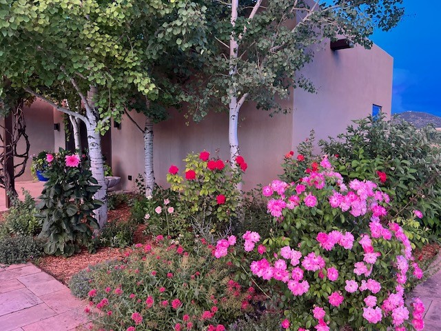 1858 Palacio Lane, Santa Fe, New Mexico image 36
