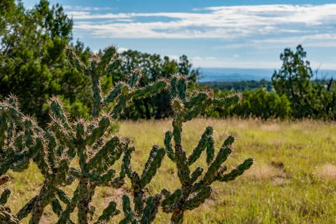 Tiny photo for 30 Blue Agave, Cerrillos, NM 87010 (MLS # 202602413)