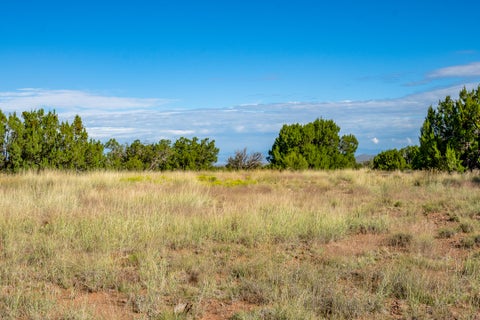 Tiny photo for 30 Blue Agave, Cerrillos, NM 87010 (MLS # 202602413)