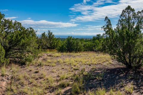 Tiny photo for 30 Blue Agave, Cerrillos, NM 87010 (MLS # 202602413)