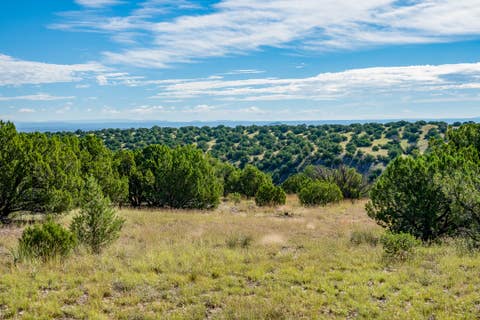 Tiny photo for 30 Blue Agave, Cerrillos, NM 87010 (MLS # 202602413)