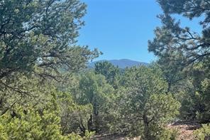 1801 Kachina Heights Dr #LOT 1, Santa Fe, New Mexico image 3