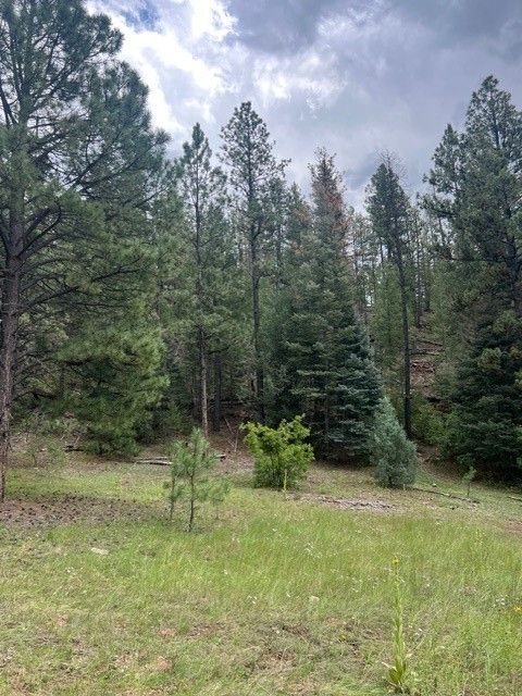 Vacant Land For Sale - LOT D-! 18.561 ACRES IN El Macho Canyon<br/> Pecos, NM 87552