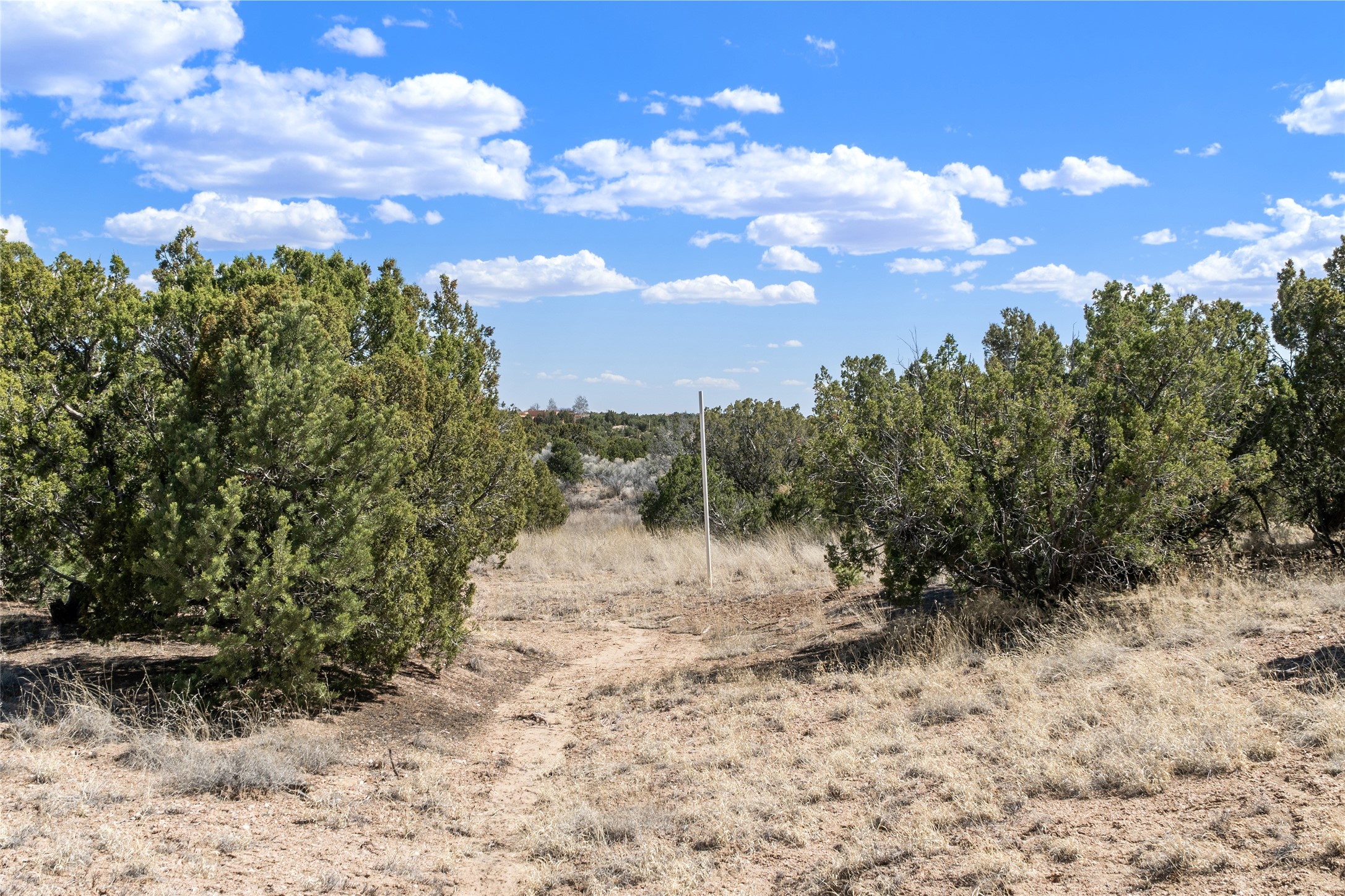 31 Calle Ventoso East, Lot 782, Santa Fe, New Mexico image 11