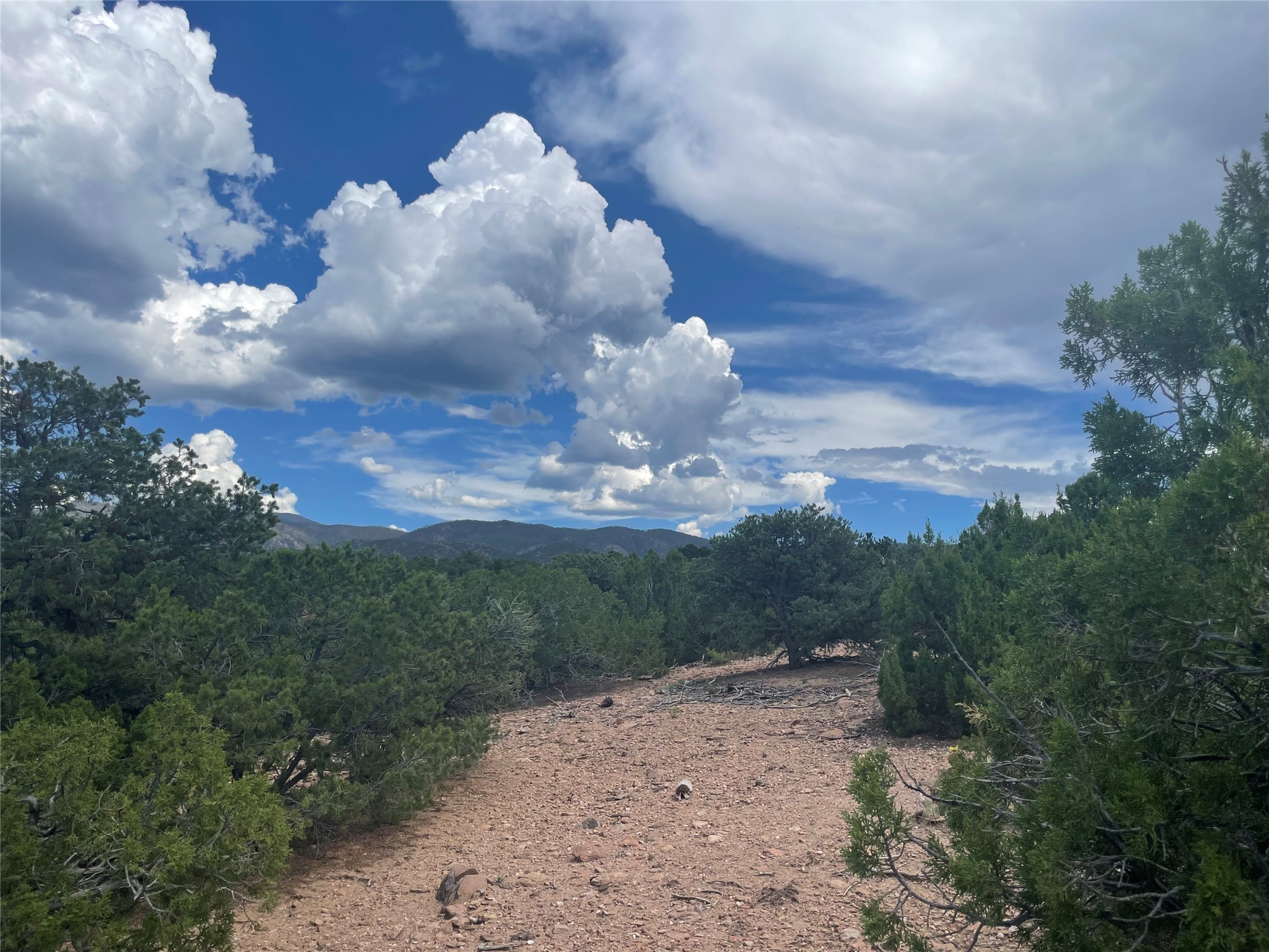 50 Vista Redonda, Santa Fe, New Mexico image 6