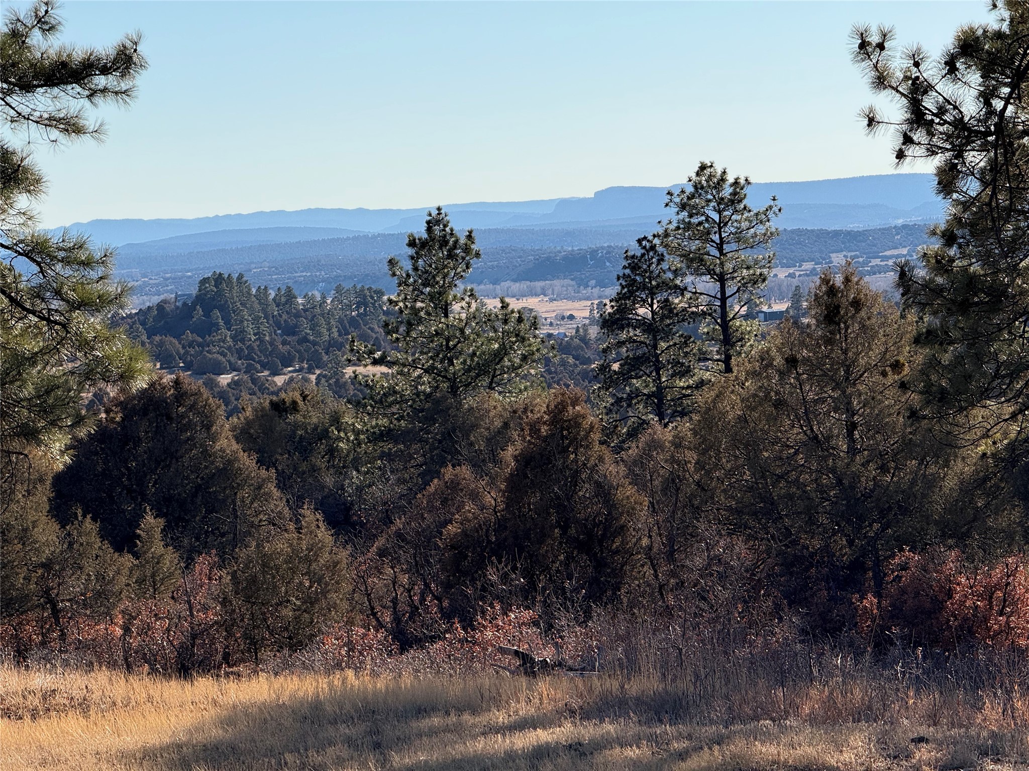 38 Private Drive 1781, Chama, New Mexico image 22