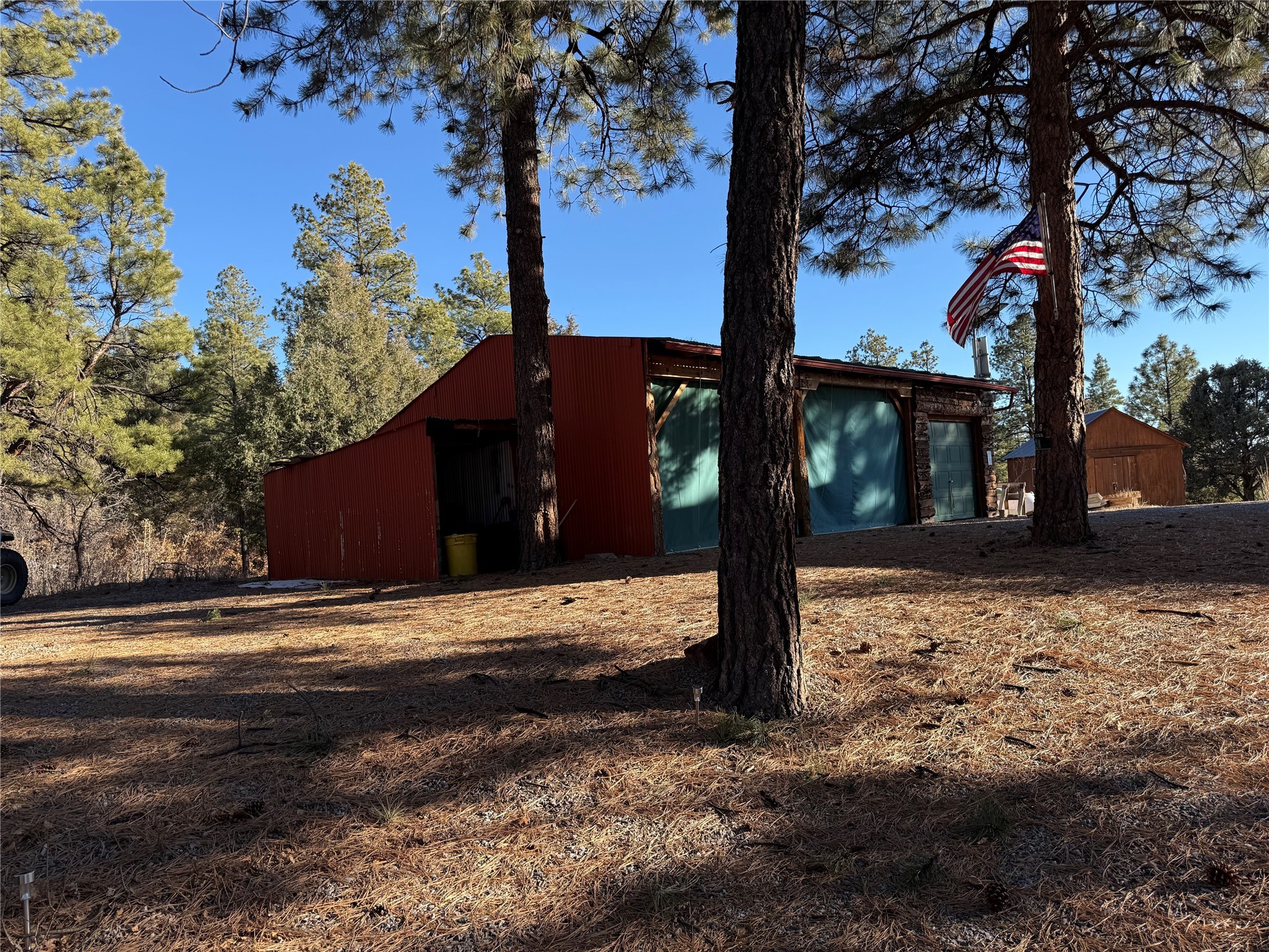 38 Private Drive 1781, Chama, New Mexico image 4
