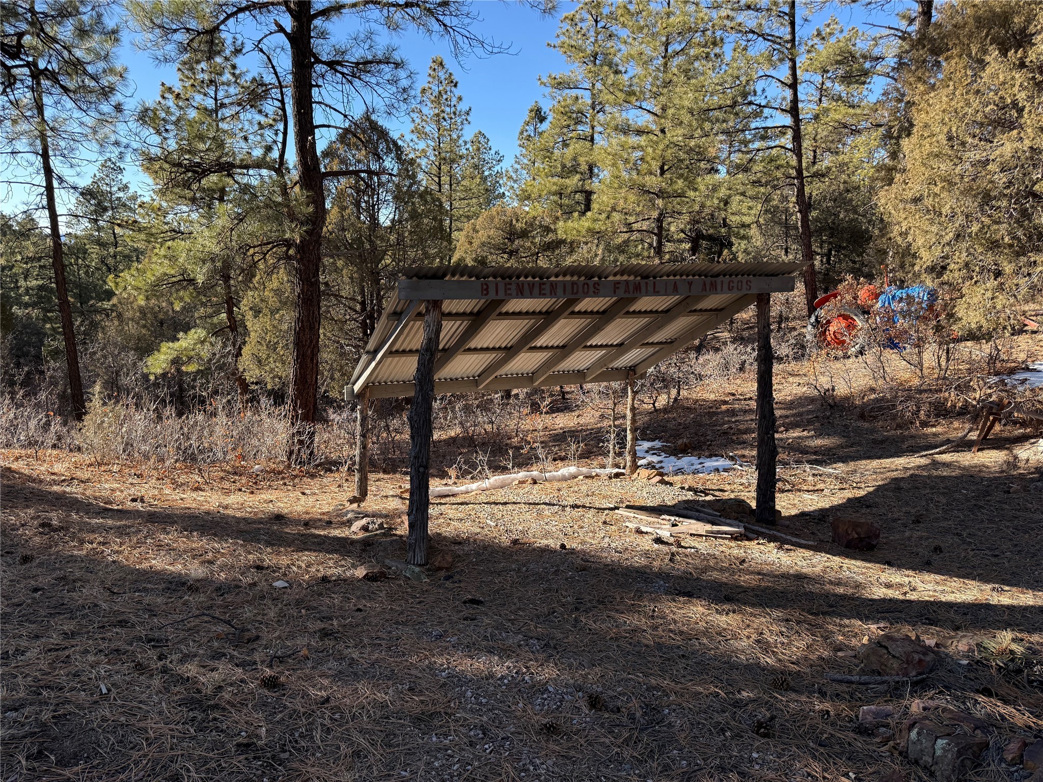38 Private Drive 1781, Chama, New Mexico image 24