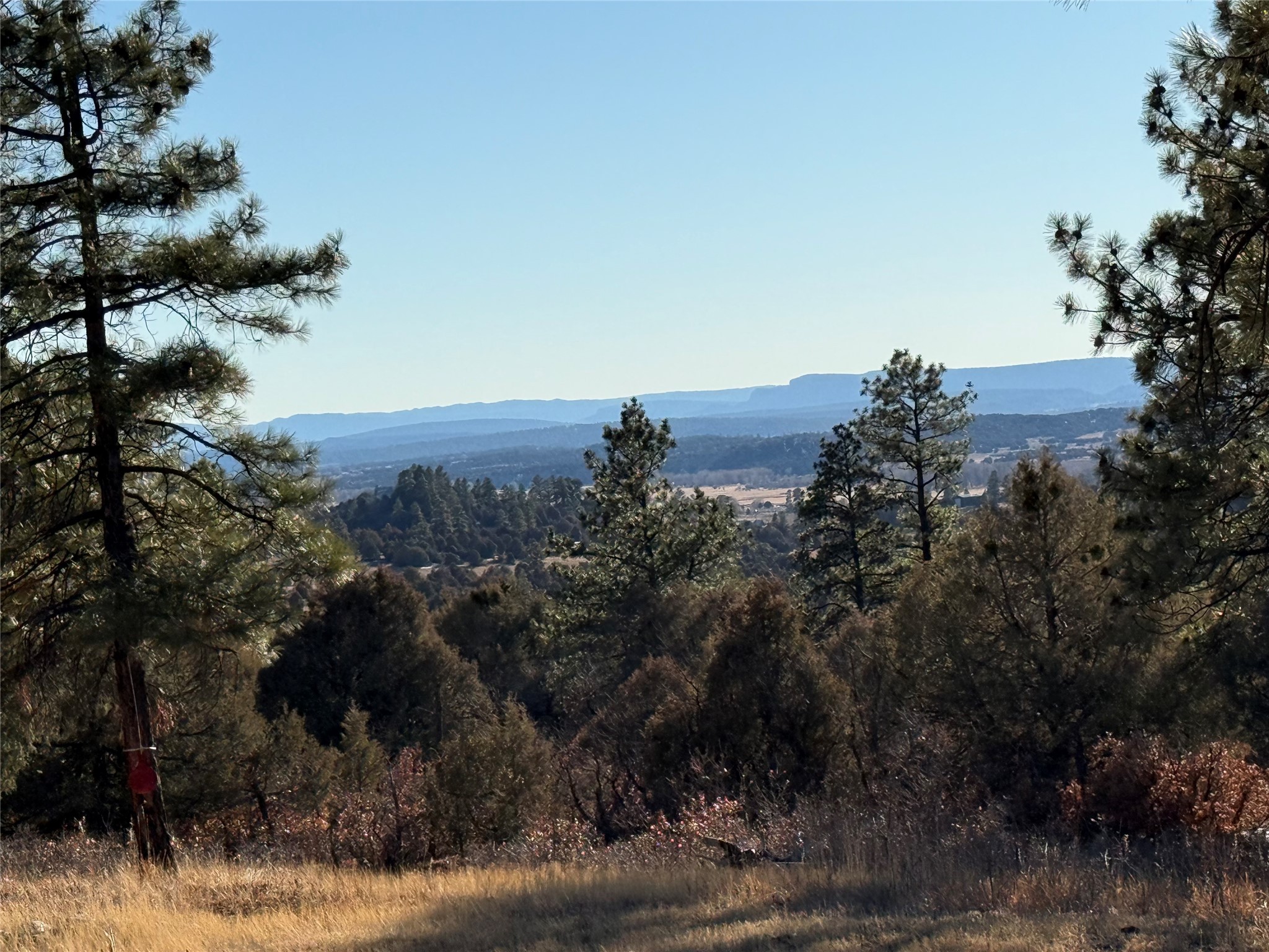 38 Private Drive 1781, Chama, New Mexico image 23