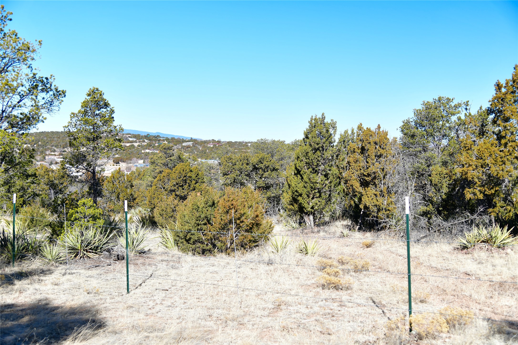 Echo Ridge Road, Edgewood, New Mexico image 7