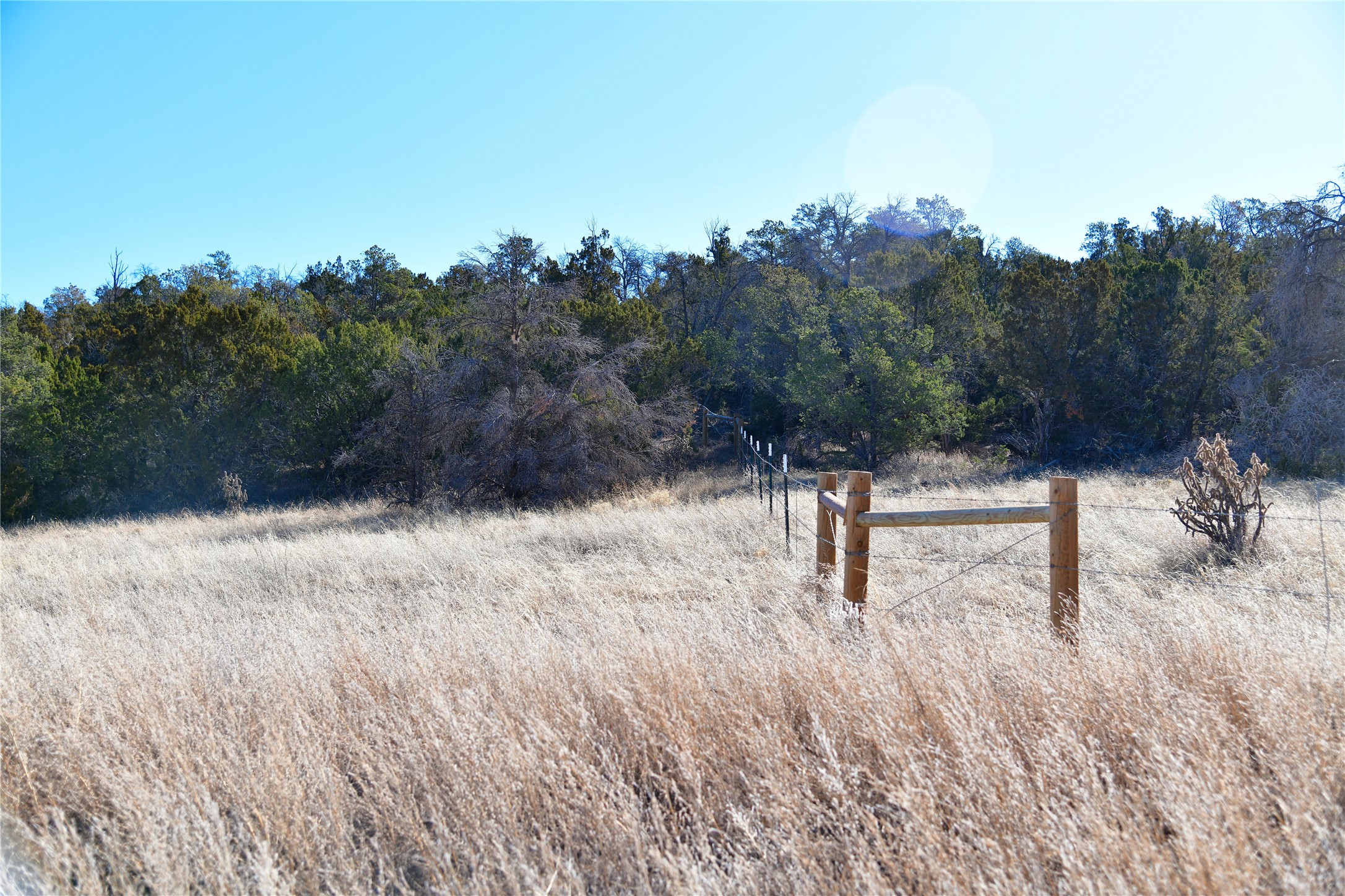 Echo Ridge Road, Edgewood, New Mexico image 2
