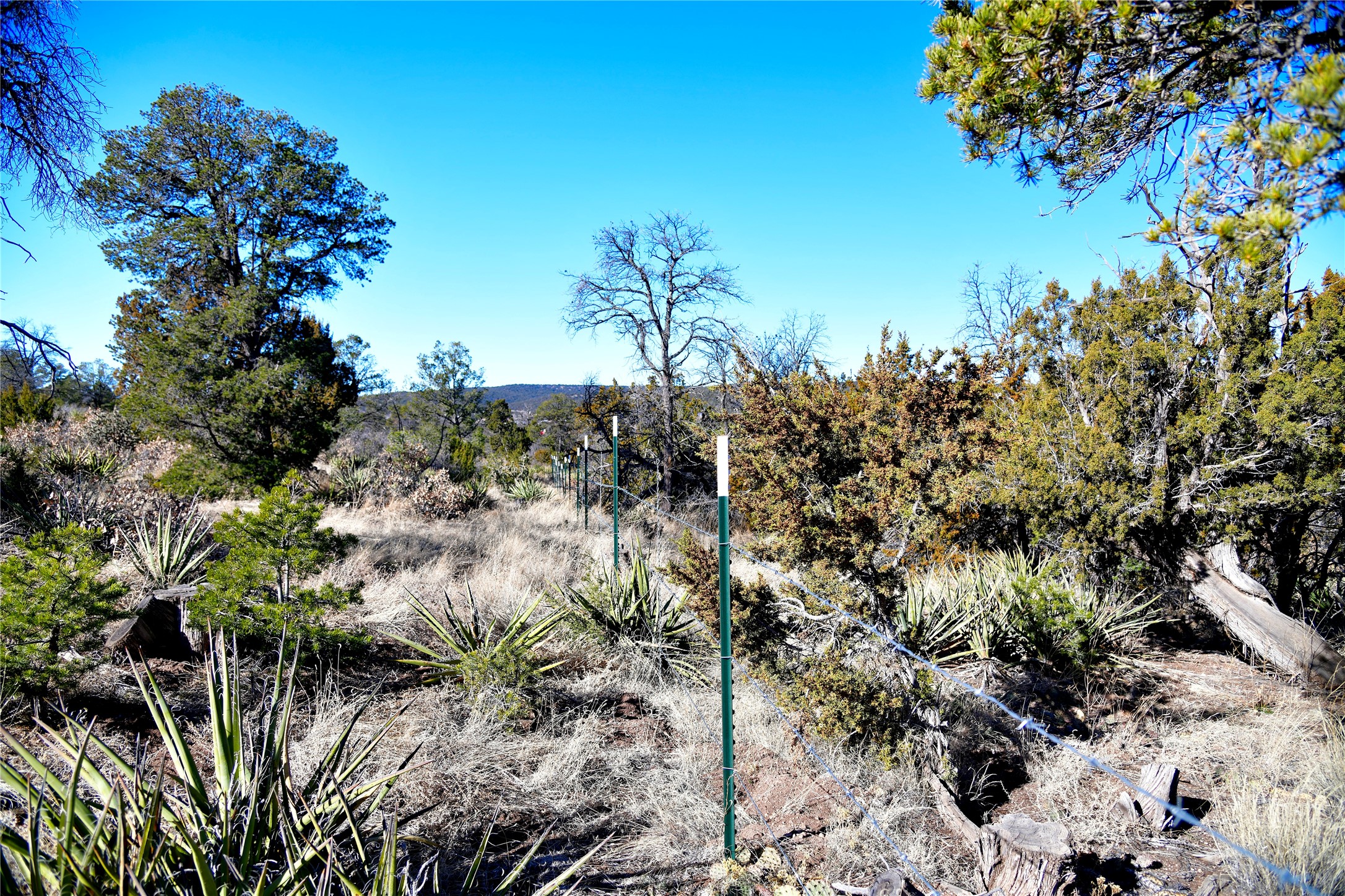 Echo Ridge Road, Edgewood, New Mexico image 3