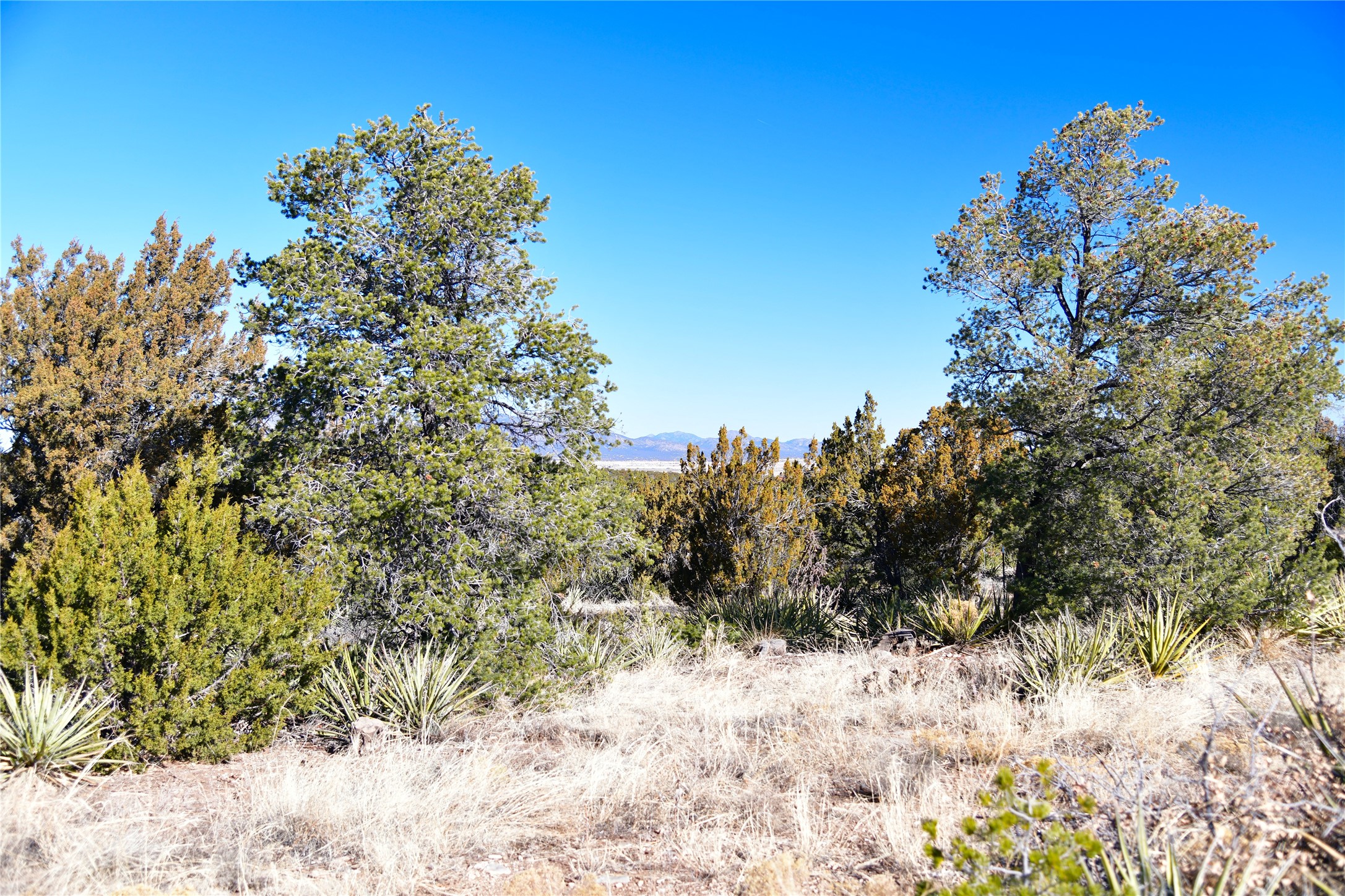 Echo Ridge Road, Edgewood, New Mexico image 9