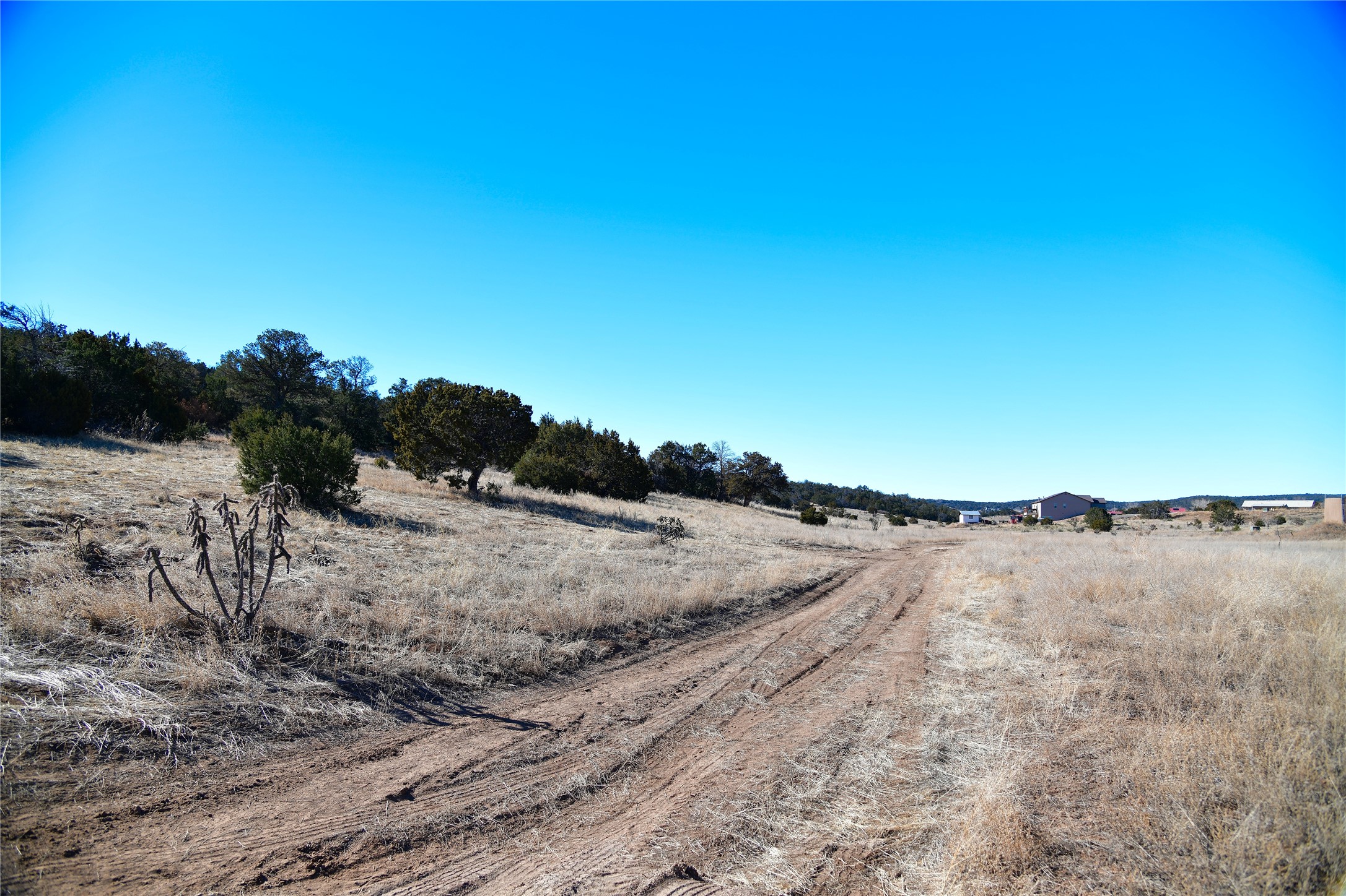 Echo Ridge Road, Edgewood, New Mexico image 13