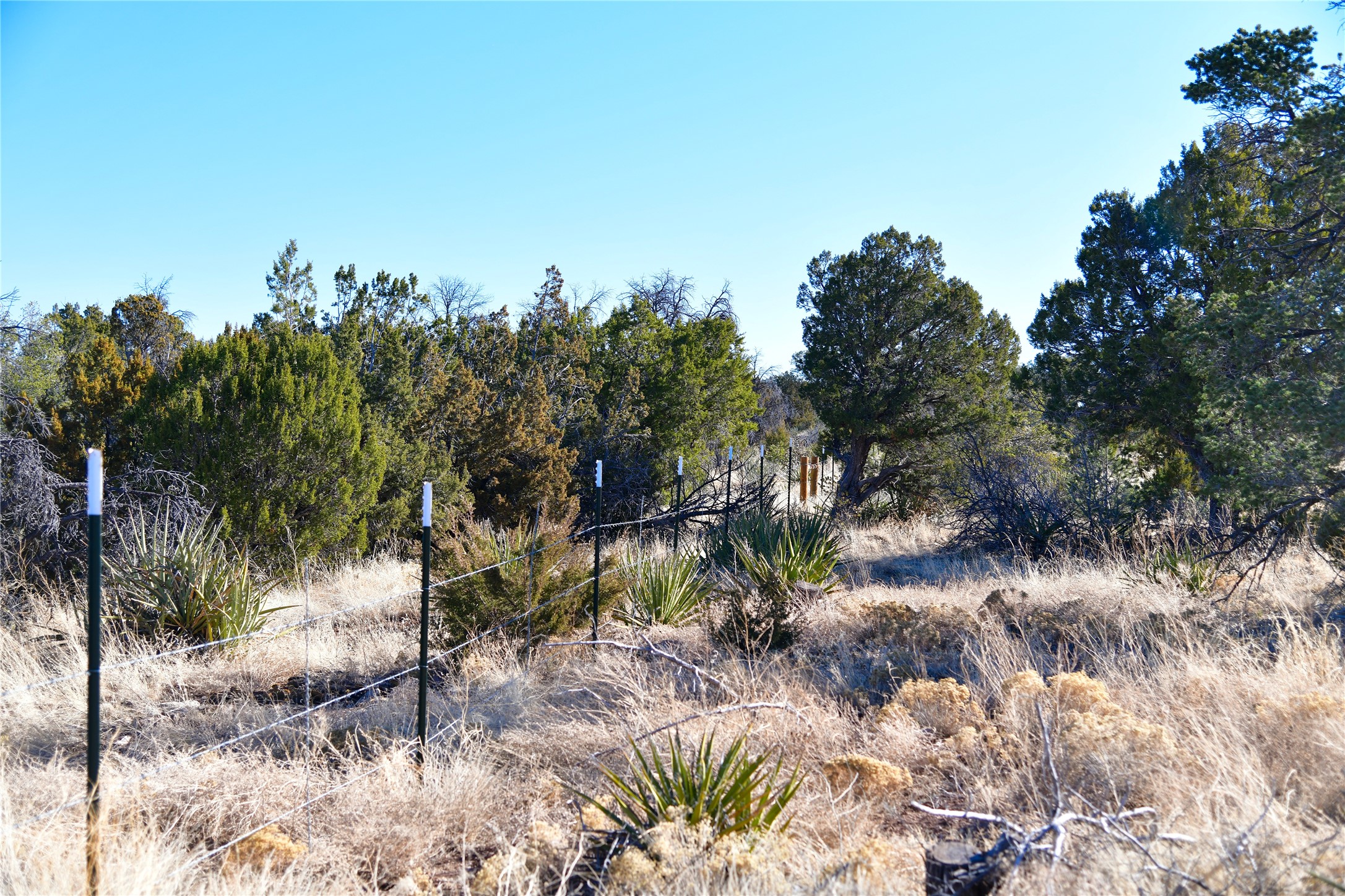 Echo Ridge Road, Edgewood, New Mexico image 4