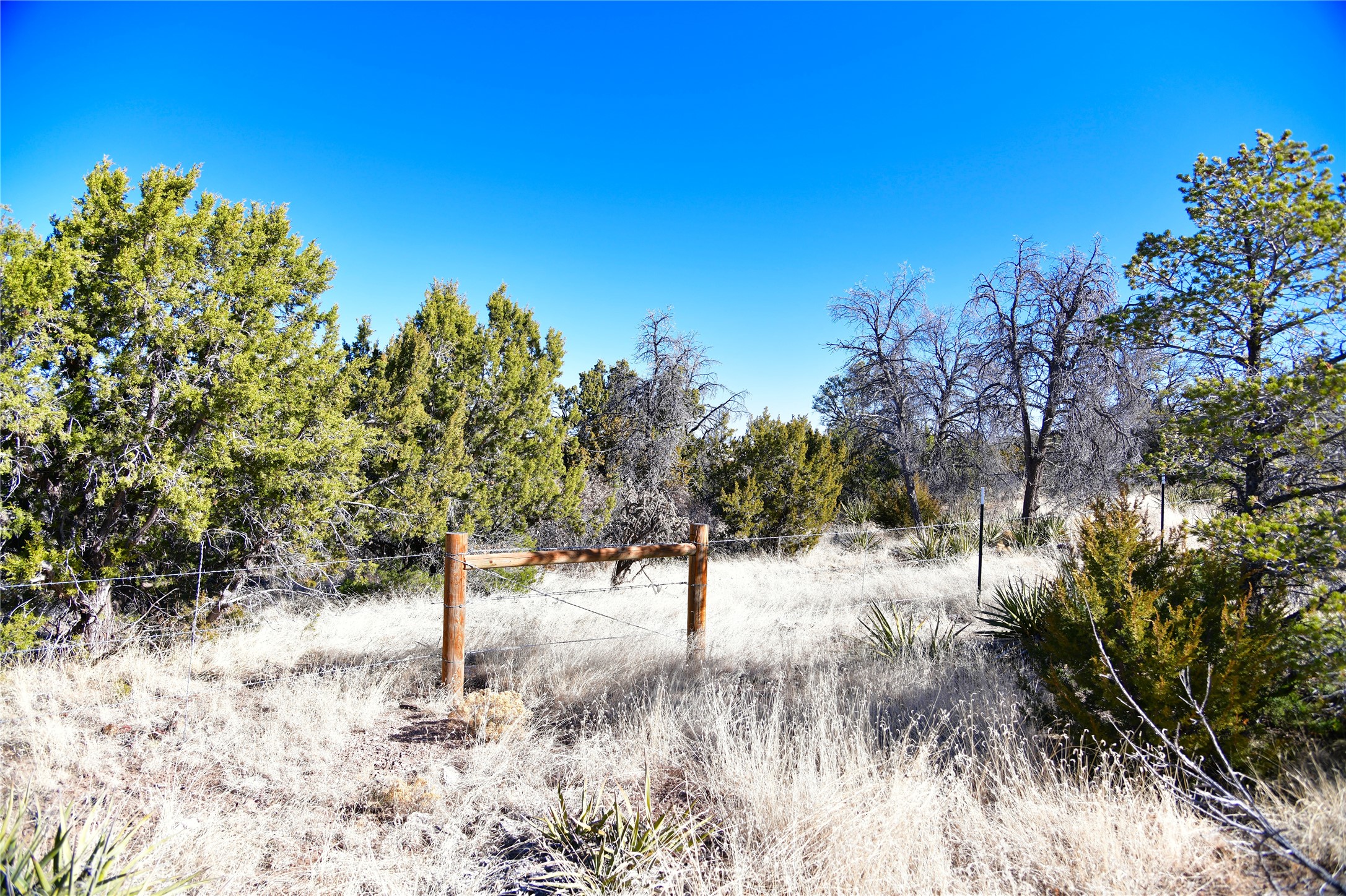 Echo Ridge Road, Edgewood, New Mexico image 5