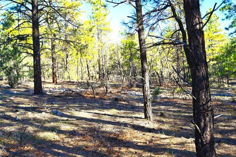 Vacant Land For Sale - 00 Tierra Bonita S/d<br/> Rio Arriba County, Tierra Amarilla, NM 87575
