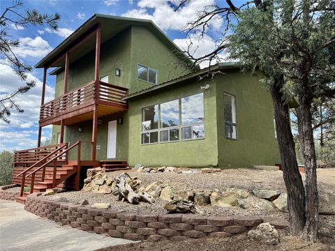 Homes For Sale - 42 Christy Lane<br/> Los Ojos, NM 87551