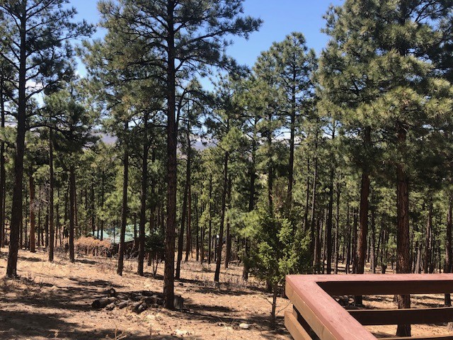 10 Camino Facil, Rociada, New Mexico image 9