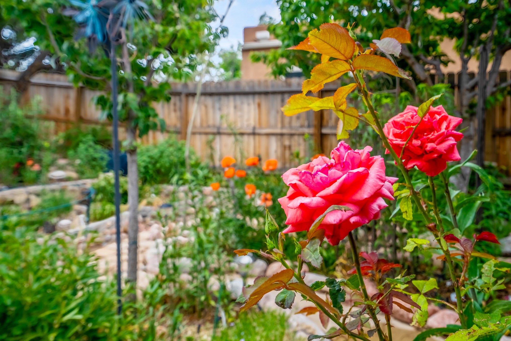 1547 Escondida Court, Santa Fe, New Mexico image 25