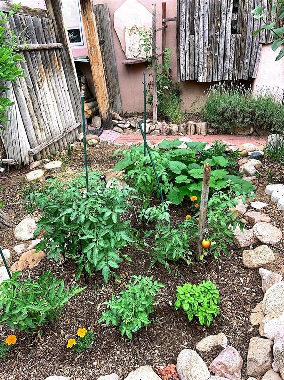 220 Irvine St #B  T, Santa Fe, New Mexico image 21