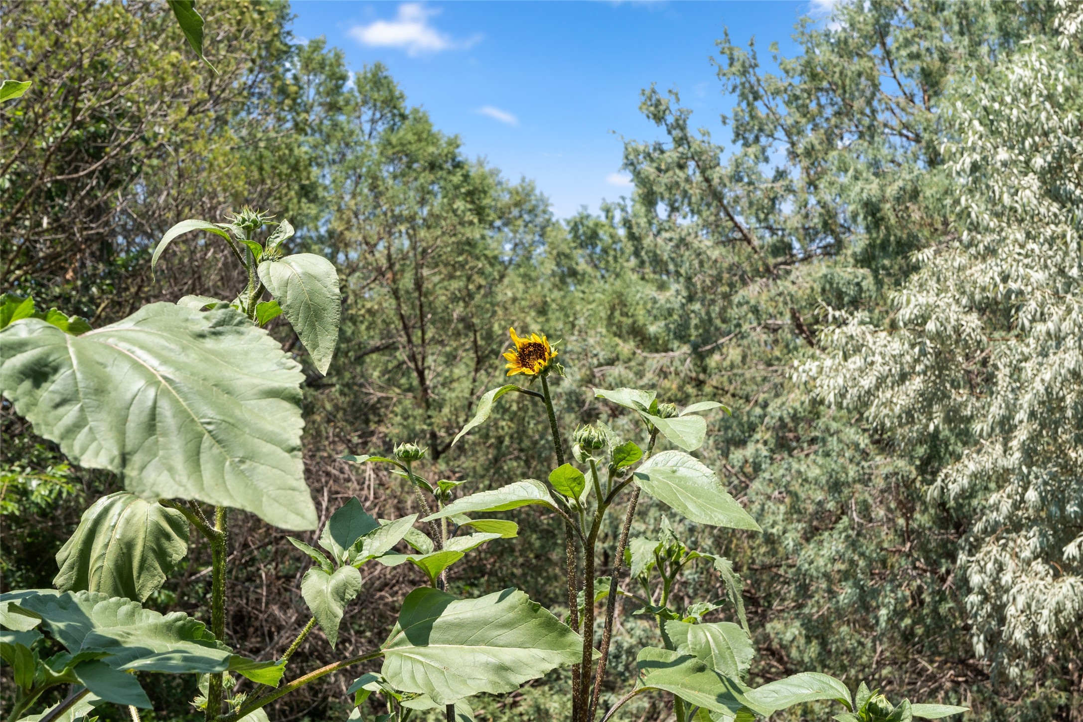 42 Glory Lane, Glorieta, New Mexico image 31