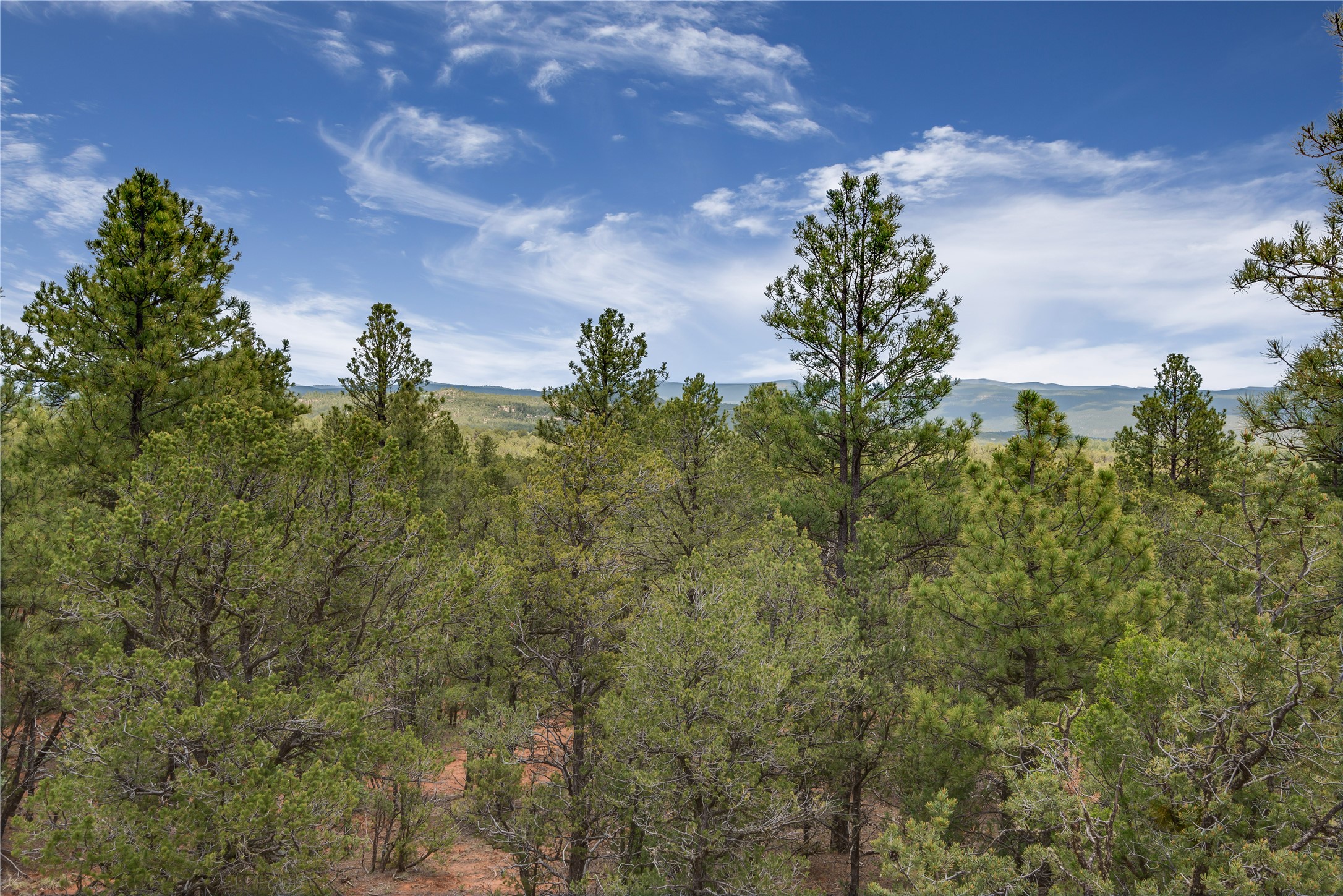 42 Glory Lane, Glorieta, New Mexico image 23