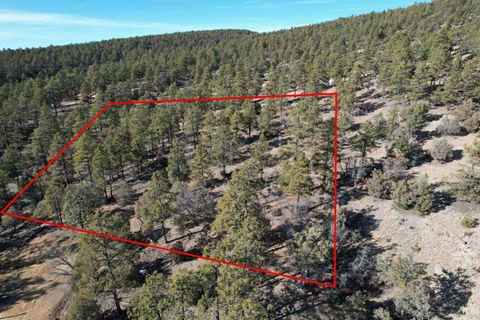 Vacant Land For Sale - Elk Drive<br/> Tierra Amarilla, NM 87575