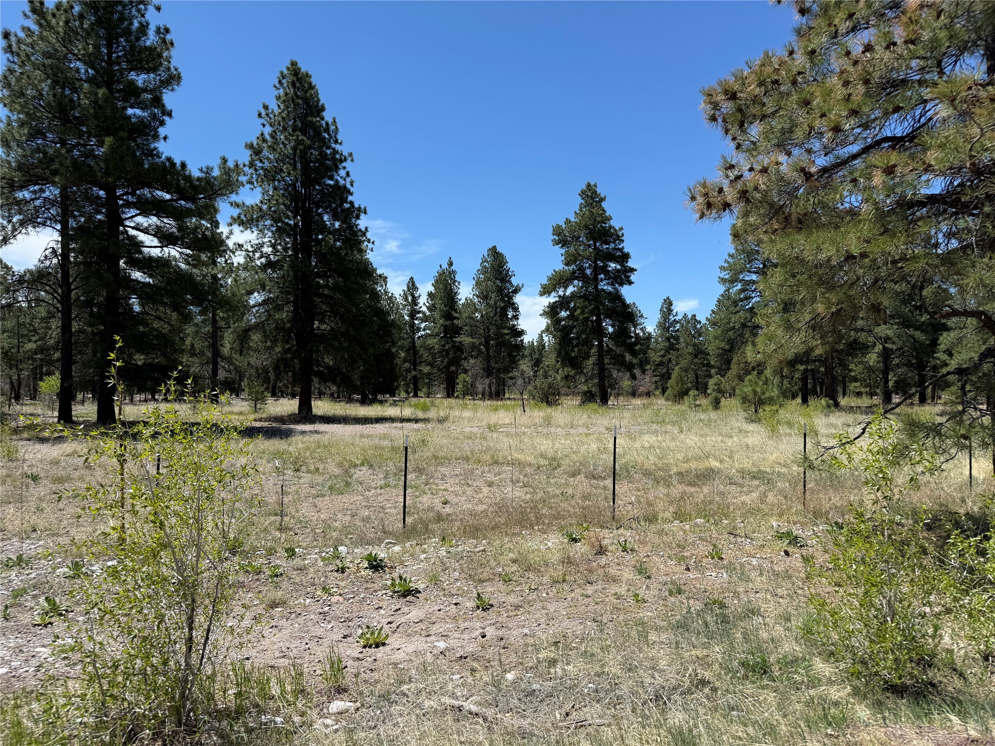 TBD State Road 512, Chama, New Mexico image 9