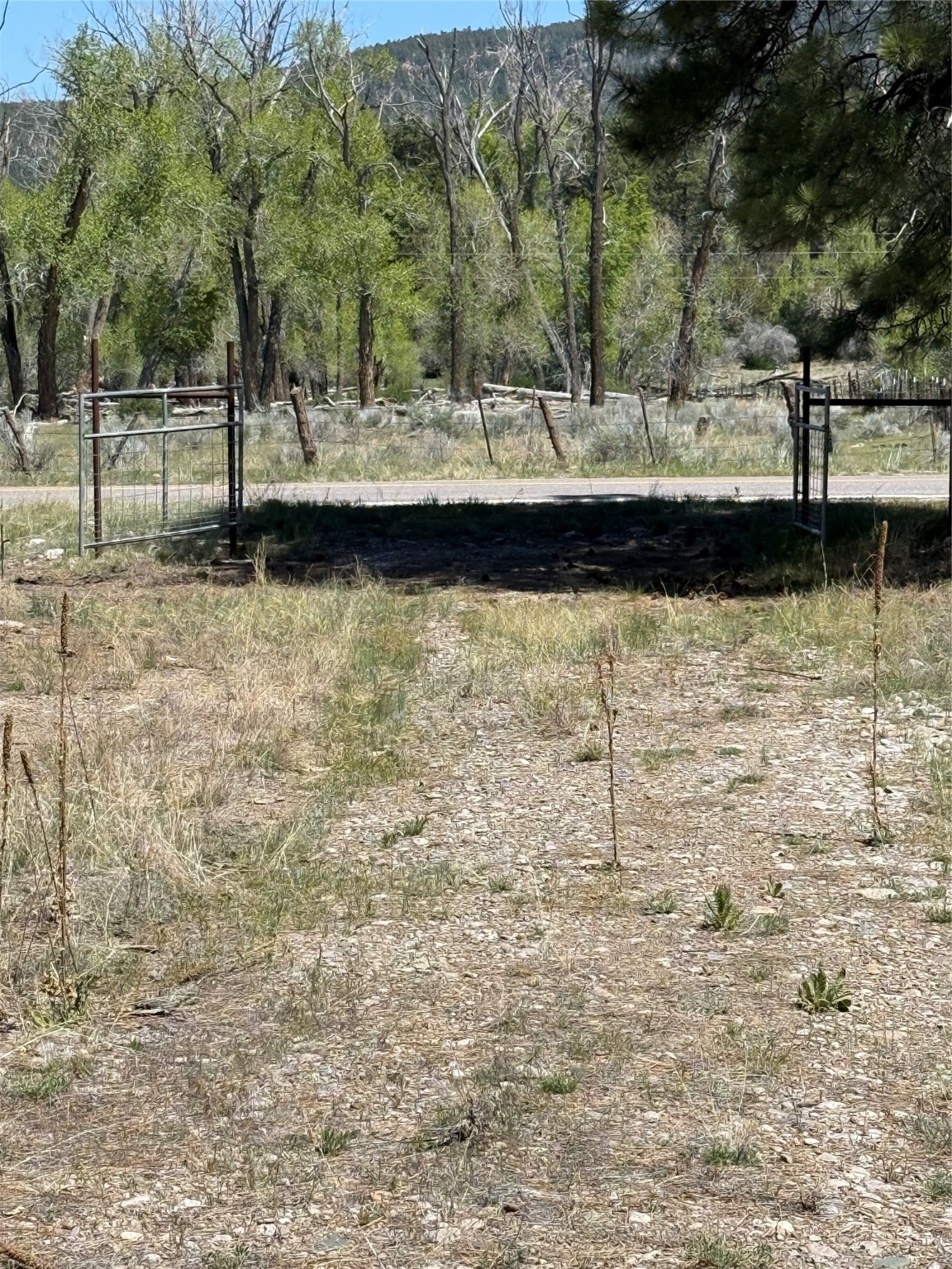 TBD State Road 512, Chama, New Mexico image 2