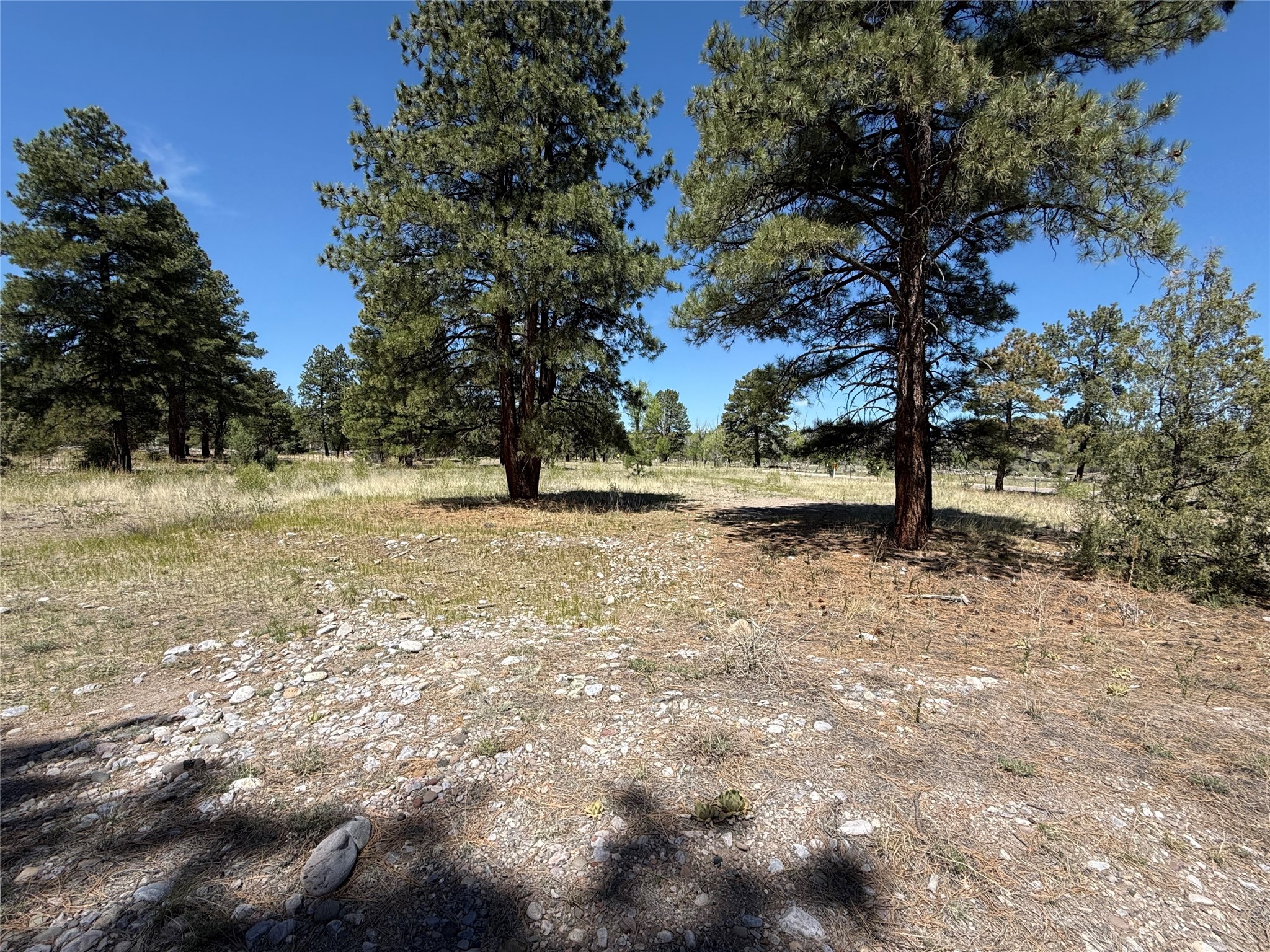 TBD State Road 512, Chama, New Mexico image 3