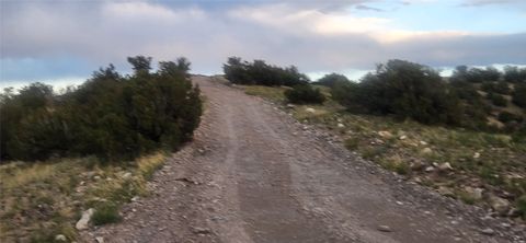 Tiny photo for 258 Red Rock, Cerrillos, NM 87010 (MLS # 202502345)