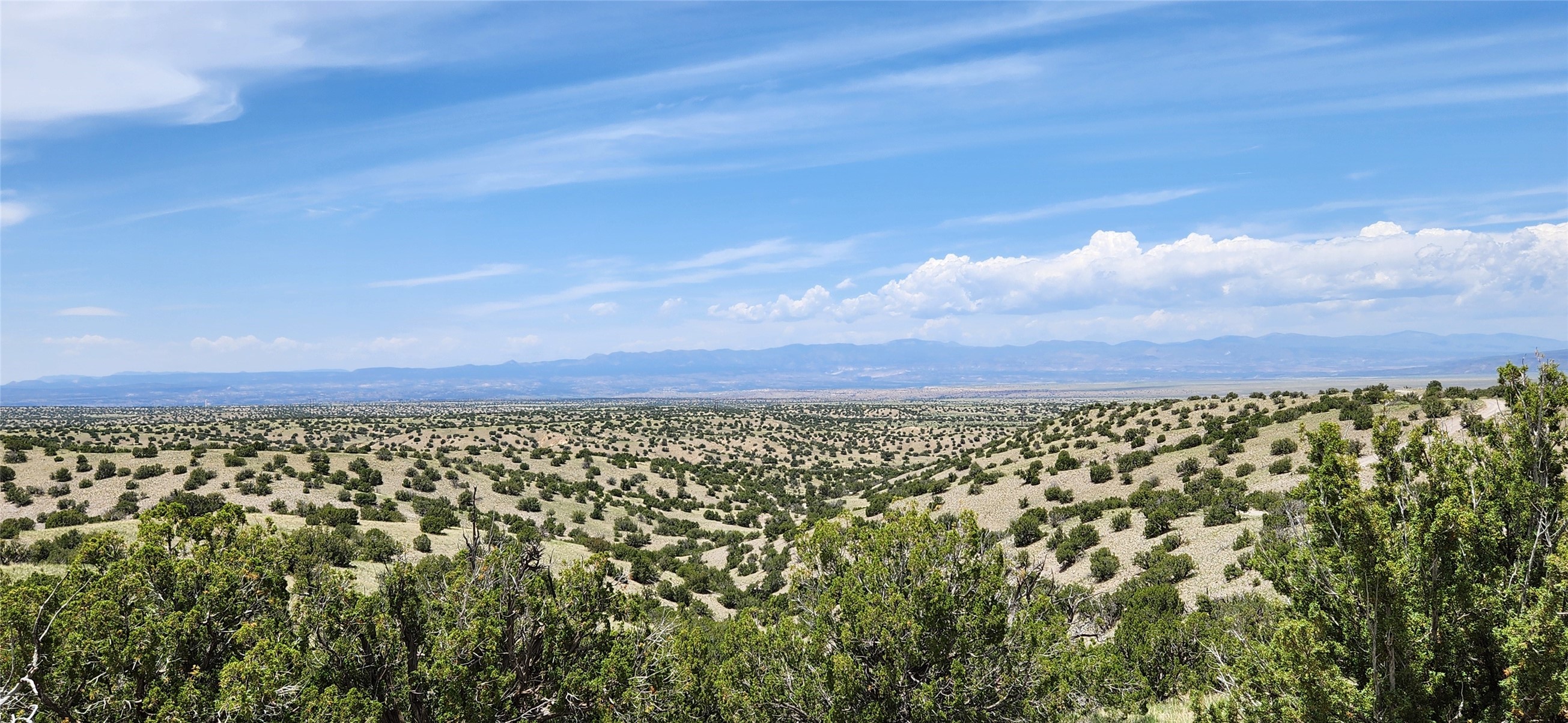 258 Red Rock, Cerrillos, New Mexico image 20