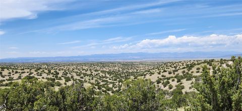 Tiny photo for 258 Red Rock, Cerrillos, NM 87010 (MLS # 202502345)