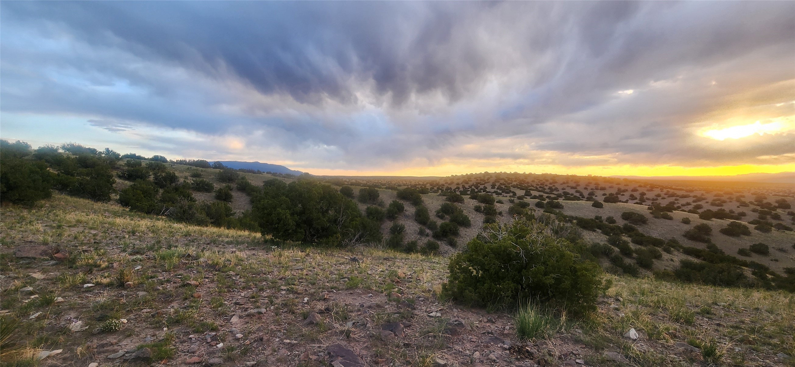 258 Red Rock, Cerrillos, New Mexico image 17