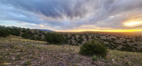Tiny photo for 258 Red Rock, Cerrillos, NM 87010 (MLS # 202502345)