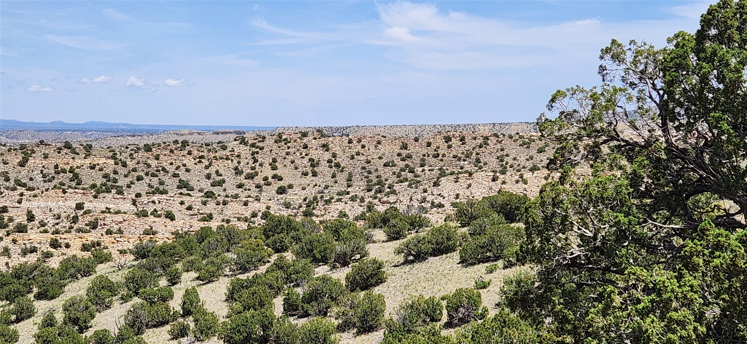 258 Red Rock, Cerrillos, New Mexico image 31