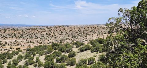 Tiny photo for 258 Red Rock, Cerrillos, NM 87010 (MLS # 202502345)