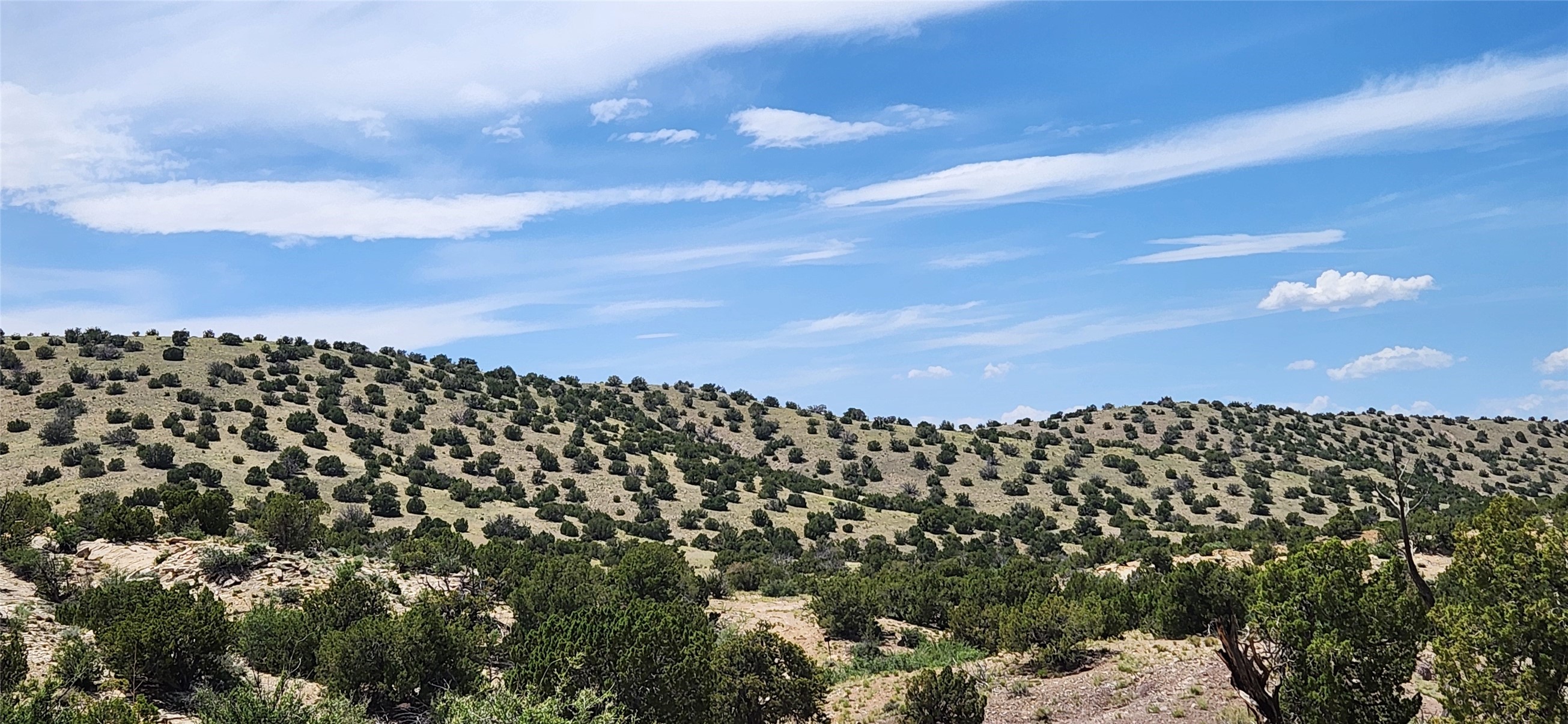 258 Red Rock, Cerrillos, New Mexico image 37