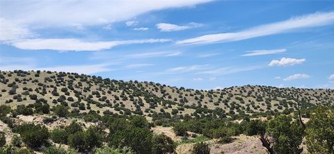 Tiny photo for 258 Red Rock, Cerrillos, NM 87010 (MLS # 202502345)