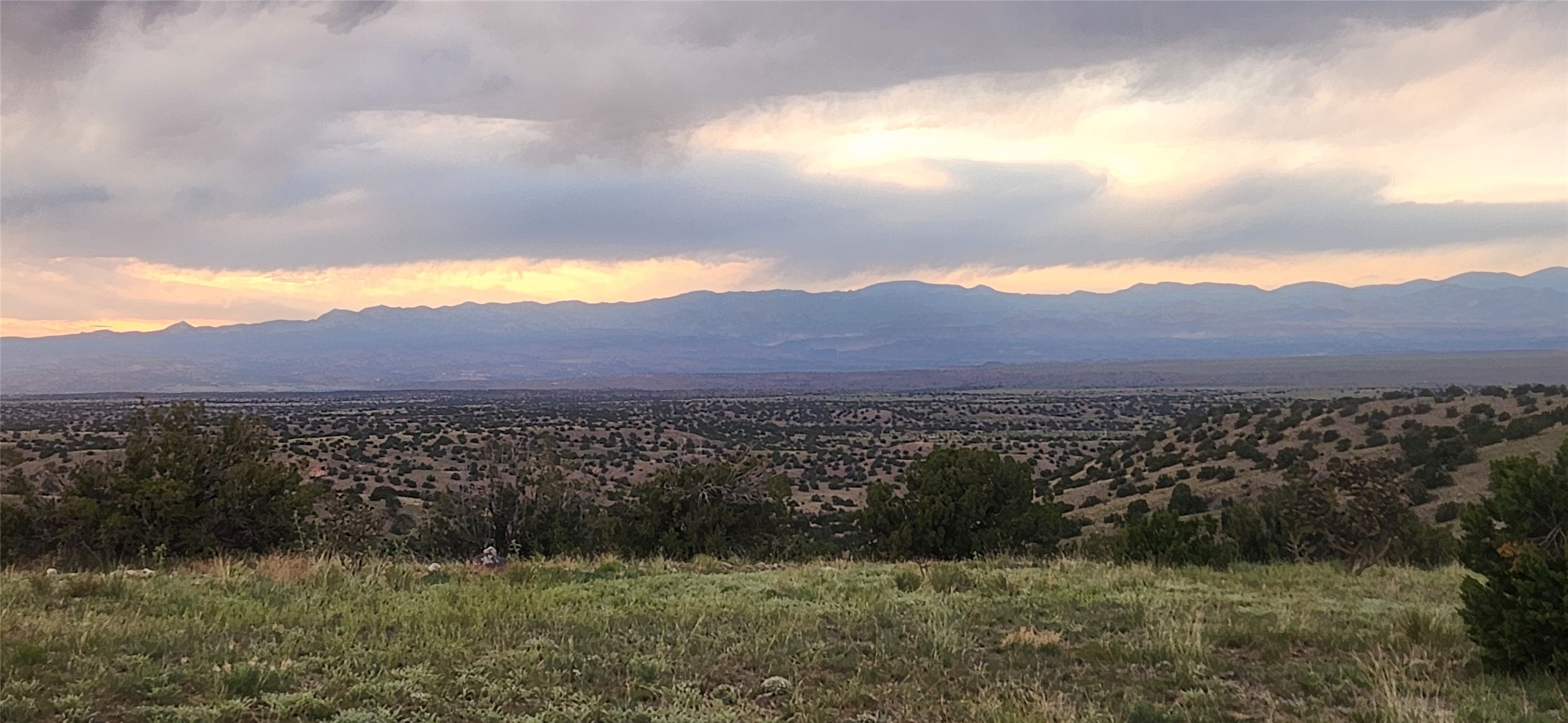258 Red Rock, Cerrillos, New Mexico image 4