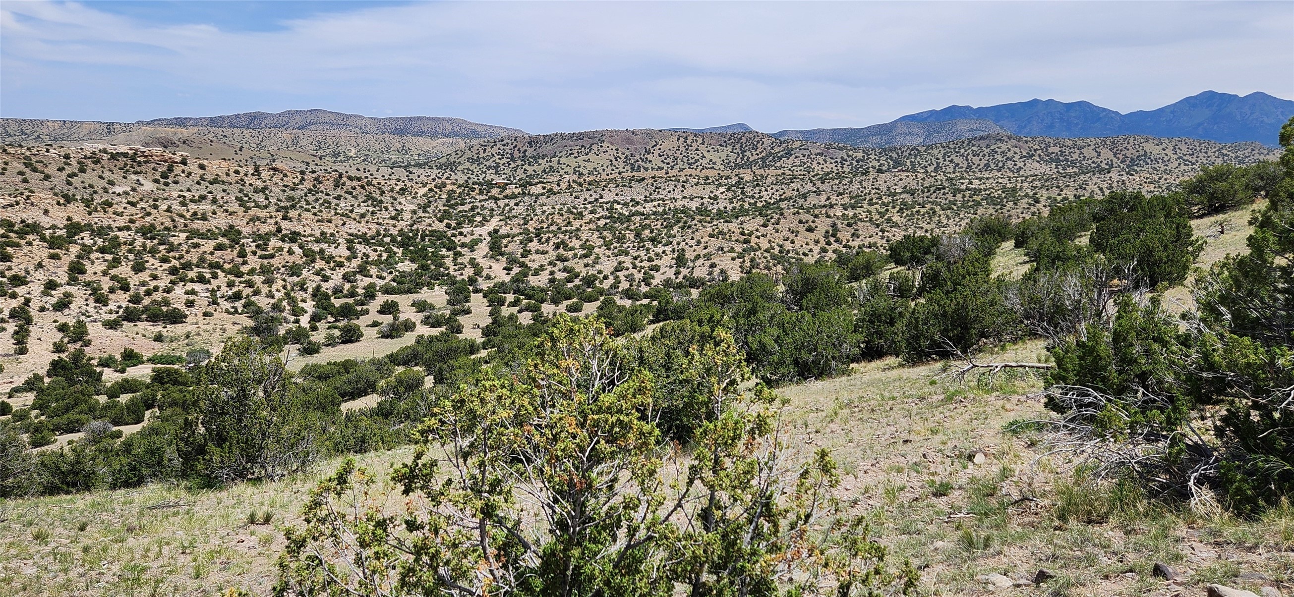 258 Red Rock, Cerrillos, New Mexico image 26
